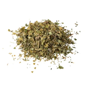 Herba Seca - Poranek w Winnicy